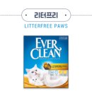 에버크린 이미지