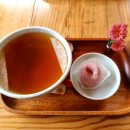 춘삼월목장 이미지