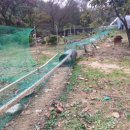 혁이농장 이미지