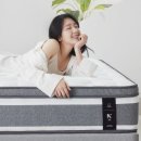 라인퍼니쳐 네이버블로그