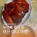 센텀글로리아 | 29회 부국제 부산국제영화제 BIFF 후기 : 글로리아, 홍이, 짧은 서면-전포동 소품샵 투어, 해운대 가야...