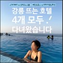 현대광고스카이크레인 | 강릉 5성급 호텔 비교 숙소 4개 직접 다녀와서 쓰는 내돈내산 후기 😎 뚜벅이 위치 추천