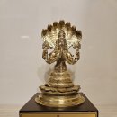 선문대학교 통합의학대학원 이미지