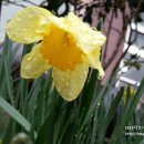 풍천펜션민박 이미지