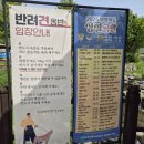 아산 외암 민속 마을 애견동반 가능한 기와33 민박 카페 내돈내산 후기