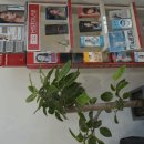 영피부과의원 이미지