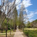 밀양댐생태공원 이미지