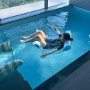 더레지아B 이미지