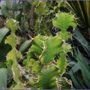 송정둑길 이미지