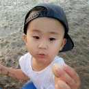 몽산포패밀리데이캠핑장 이미지