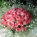 행복한가 이미지