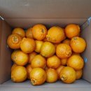 다운 농장 이미지