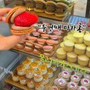 두번째마카롱 | 4일만 운영하는 줄 서서 먹는 상왕십리 두번째 마카롱 전메뉴