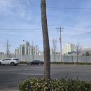 GS25청라에뜰점 | [피크민] 인천 청라 단독 동물원모종, 편의점모종, 미용실모종, 산곡역 단독 우체국모종, 단독 약국모종...