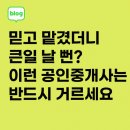 단지내크로바공인중개사사무소 | 🕊️믿고 맡겼더니 큰일 날 뻔? 이런 공인중개사는 반드시 거르세요