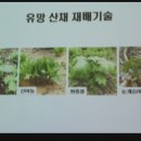삼성임업