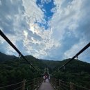 좌구산휴양림 명상의집 | 곳 '좌구산자연휴양림', '좌구산휴양랜드', '좌구산 숲 명상의 집', '좌구산 명상구름다리', '좌구산...