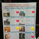 므앙아로마오일 | 엄마랑 라오스 3박 5일 패키지여행 일정과 여행 후기 모든 것!!!