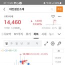대진미트