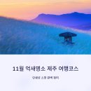 수풍숲 | [공지] 11월 억새명소 제주 여행코스, 인생샷 스팟 정리