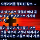 오병이어의 집 Daum카페