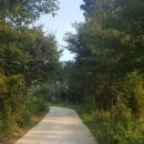 황산벌캠핑펜션 이미지