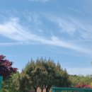 십칠다시이십 이미지