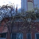 한가람한의원 이미지