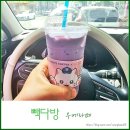 빽다방공존점 | 빽다방 신상음료 우베라떼 칼로리와 가격 후기