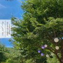 아무르베이커리 | 강원도 원주 계곡 카페, 숨숲아무르 (물가애캠핑장)