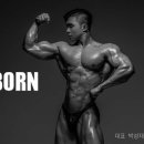 제이리본PT 이미지