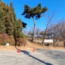 산촌신쭈꾸미 이미지