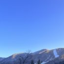 가족호텔 개나리동 이미지