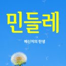 주식회사 민들레 이미지