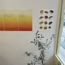 밸런스 베이커리(BALANCE BAKERY) 이미지