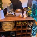 엠오디 | 서울 근교 드라이브 마장호수 심야 카페, 엠오디101 테디베어를 베어버려 뇸뇸