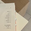 이채라이팅 | 정이현, 노 피플 존