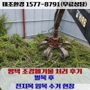 남부벌목 | 평택 조경폐기물 처리 후기, 벌목 후 전지목 임목 수거 현장