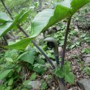 고성사방댐 이미지