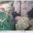 인구 리조트 이미지