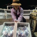 바지선 선상낚시 이미지