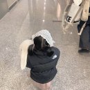 이름꽃사진관배곧점 이미지