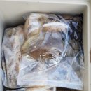 서해쭈꾸미 이미지