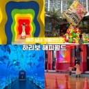 제주 여행 아이와 가볼만한곳 하리보 해피월드 10% 할인 티켓 후기