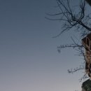 유성하나약국 | 대전봉명동꽃집 24시 꽃차림 방문후기