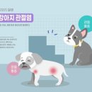 스타동물병원 이미지