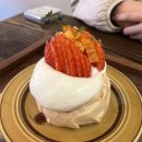 강릉 쎄라비 디저트 카페 역대급 찐 맛집 후기