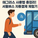 영인산성 | 테그리스 사용법 총정리! 서울버스 자동결제 체험기