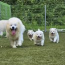 생활목공예 | 자립준비청년 지원 프로그램 <위이어 가을학교 in 경북 - 목공예 전문가, 애견 전문가 과정>