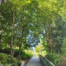 체육문화센터진입로1 이미지